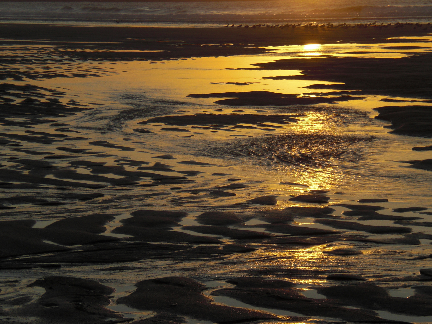 Playa de covas 2