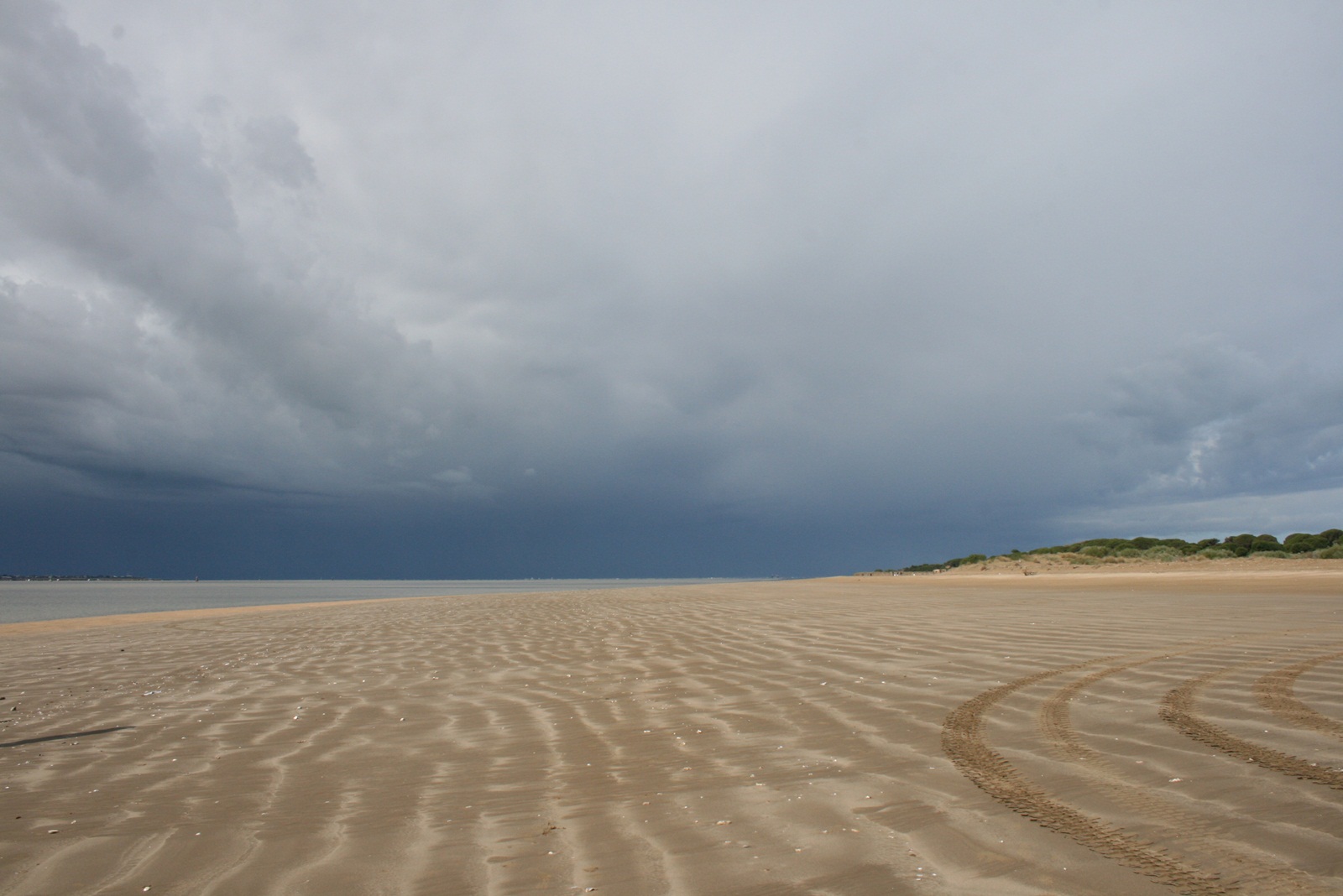 Playa de Doñana