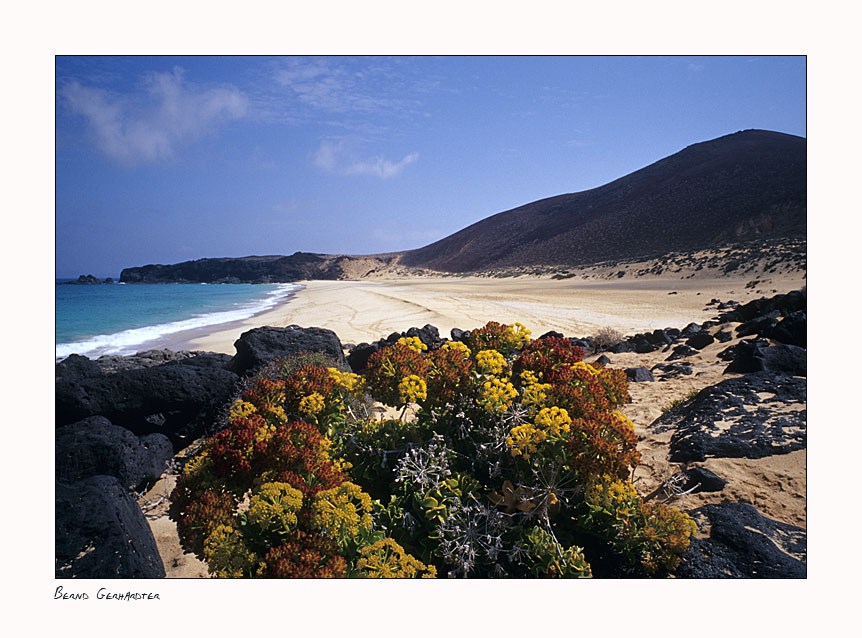 Playa de la Conchas 3