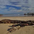 Playa de La Franca II