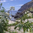 Playa de la Veta