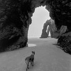 PLAYA DE LAS CATEDRALES CON PERRO.