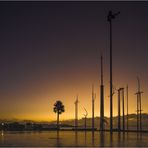 Playa de los Pocillos