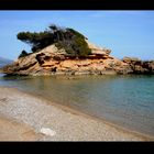 playa de mallorca