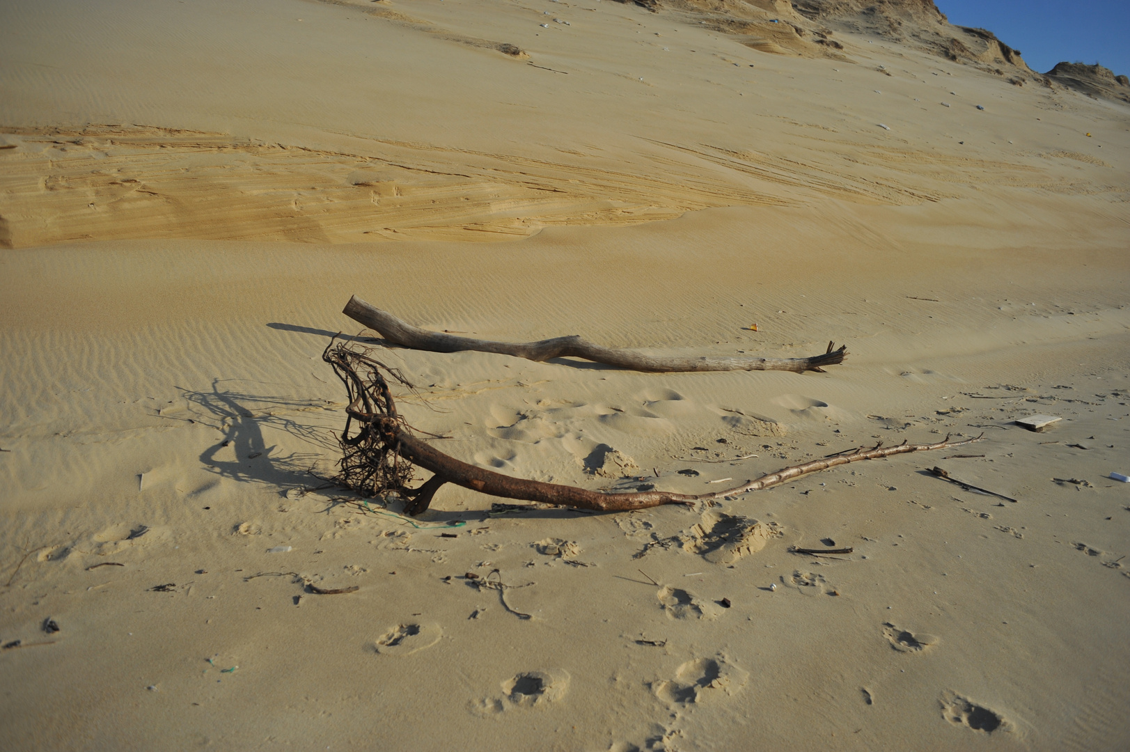 playa de messanges (40)