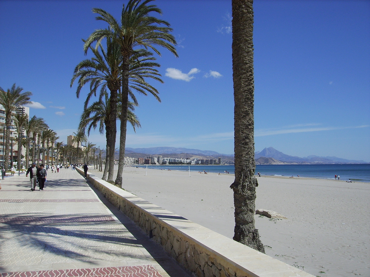 Playa de Mucha vista ; el Campello Alicante