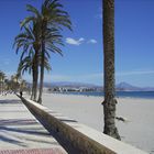 Playa de Mucha vista ; el Campello Alicante