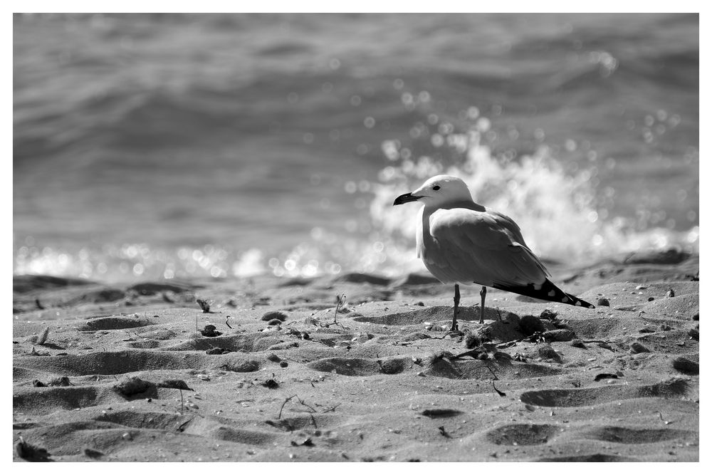 Playa de Palma im Februar