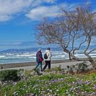 Playa de Palma im Februar