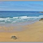 Playa de Penaronda (Castropol, Asturias). Panoramica (8 Img.)