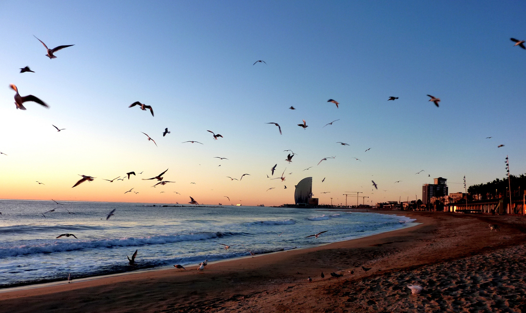 Playa de San Sebastian _ Barcelona