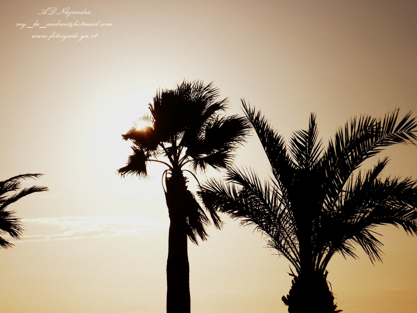 Playa de Sanlucar de Barrameda