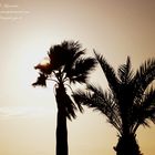 Playa de Sanlucar de Barrameda