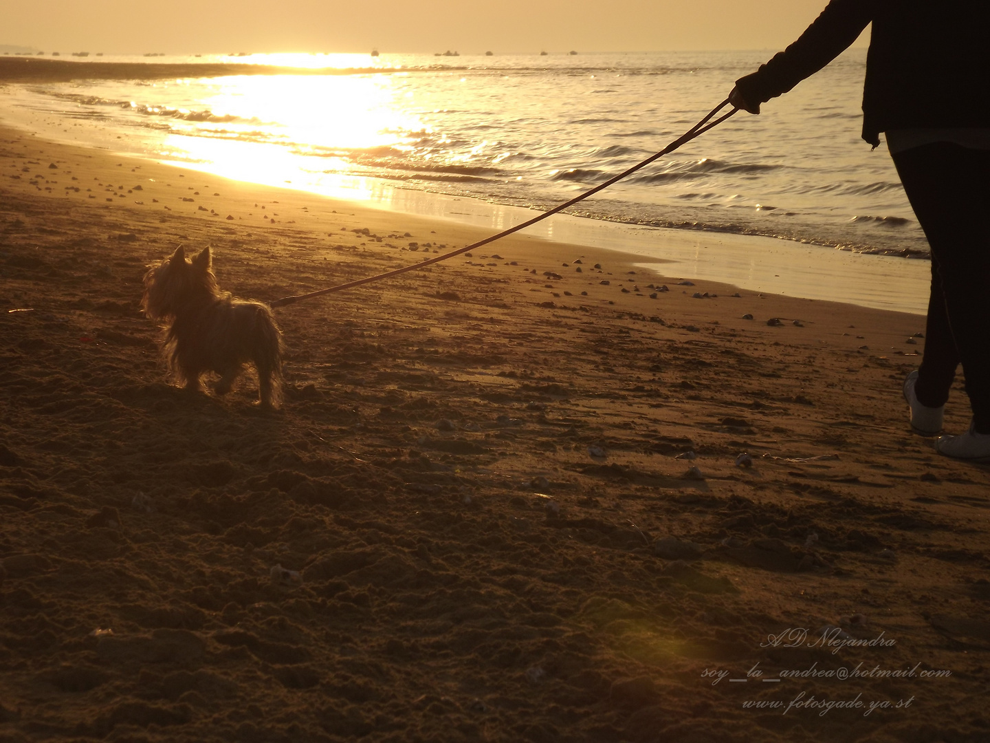 Playa de Sanlucar de Barrameda