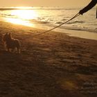 Playa de Sanlucar de Barrameda