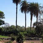 Playa de Santiago - La Gomera