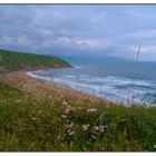 Playa de Sopelana