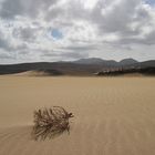 Playa de Sotavento