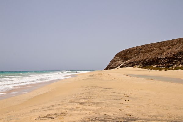 . . . - Playa de Sotavento - . . .