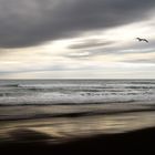 Playa de Vilanova i la Geltrú