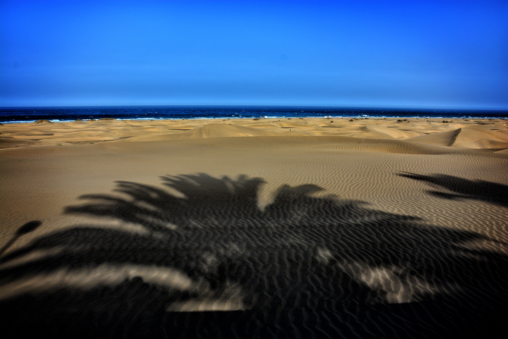 Playa del Inglés