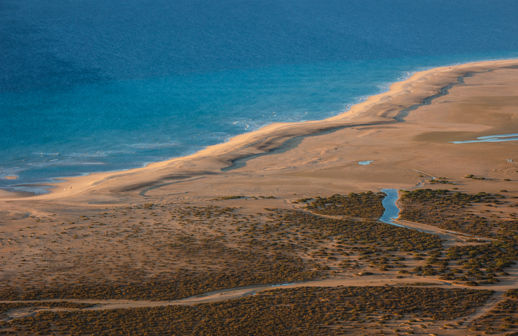 playa del salmo 