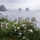 Playa del Silencio im Frühling