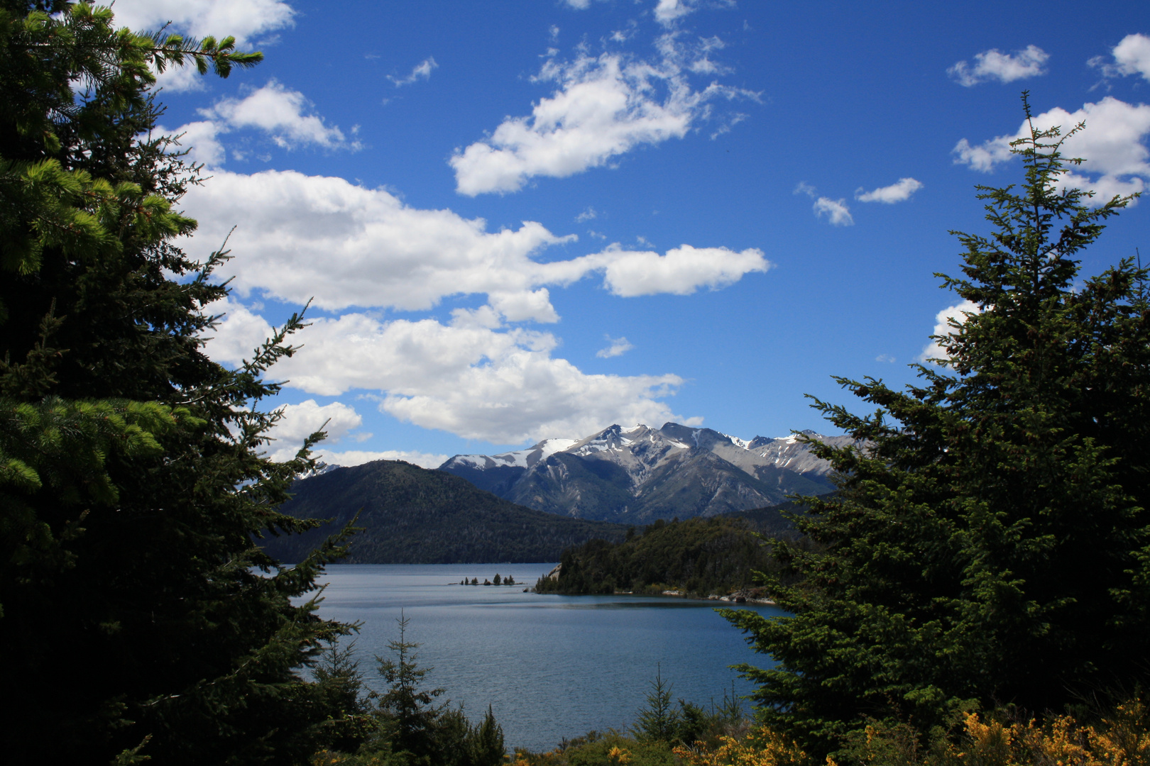 Playa del Toro , Isla Victoria , Bariloche