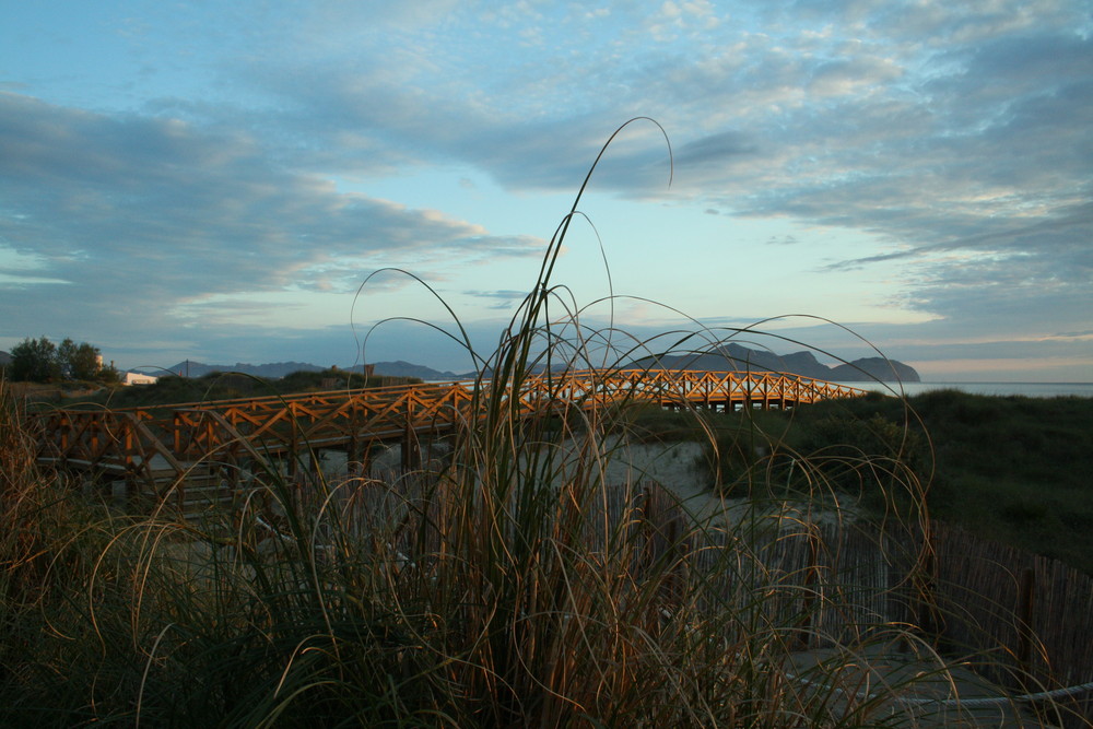 Playa Dorada