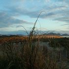 Playa Dorada