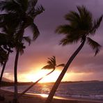 Playa Dorada