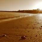 Playa Dorado @ Lanzarote