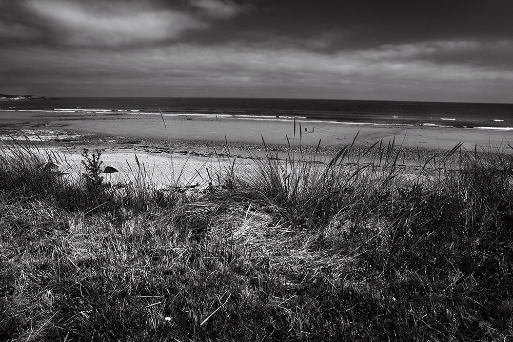 Playa en blanco y negro