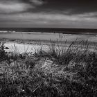 Playa en blanco y negro