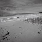 Playa en blanco y negro