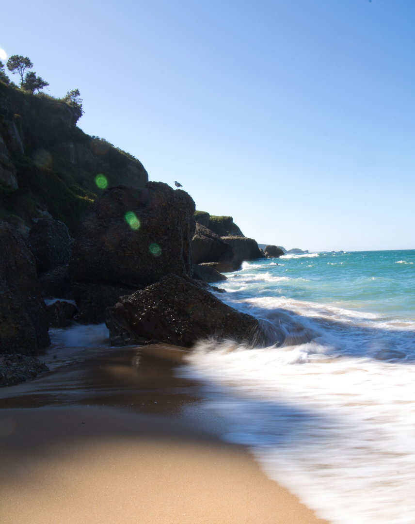 Playa en movimiento