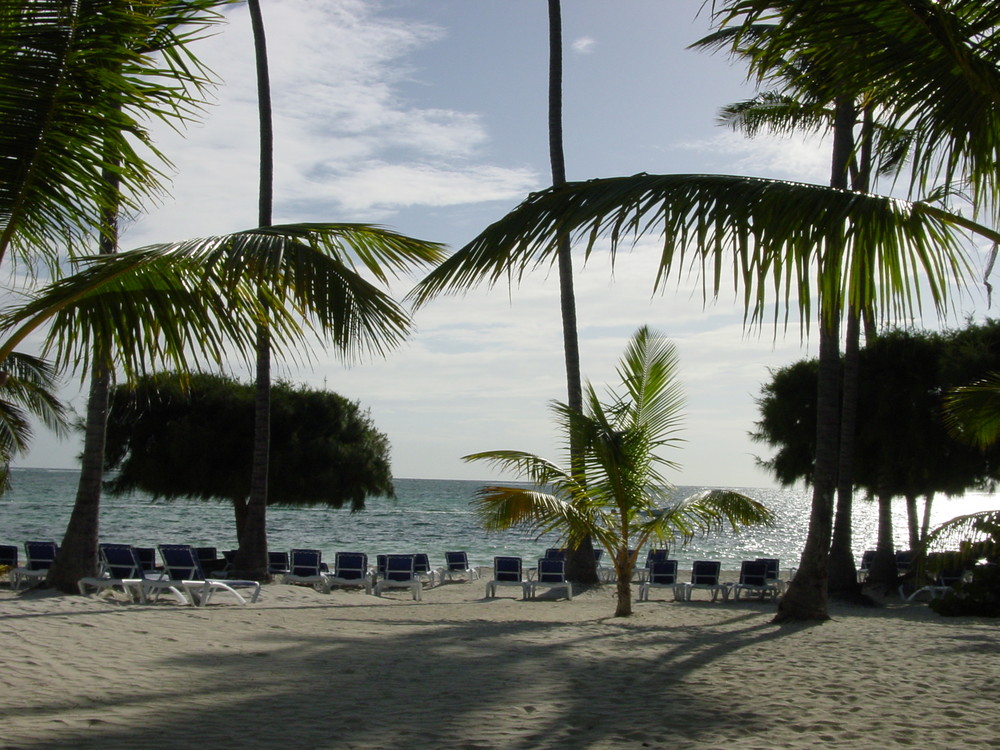 Playa en Punta Cana-Republica Dominicana