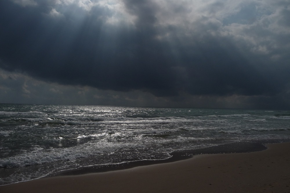 PLAYA EN VALENCIA.