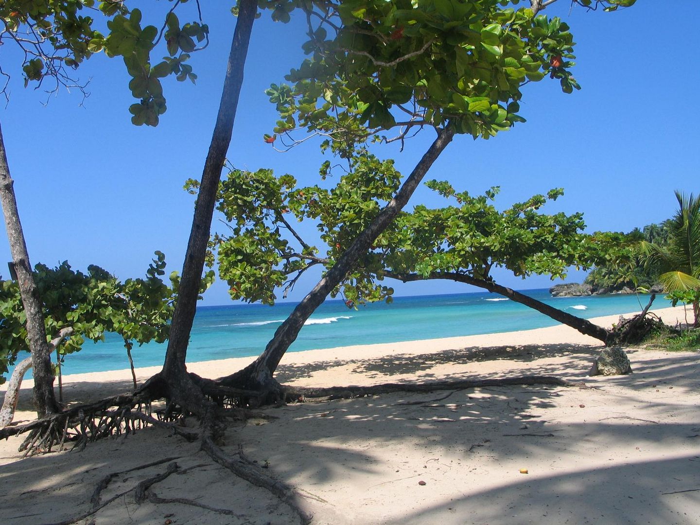 Playa Grande Dominikanische Republik