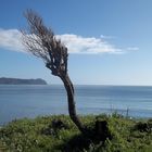 Playa grande, Niebla - Valdivia - Chile