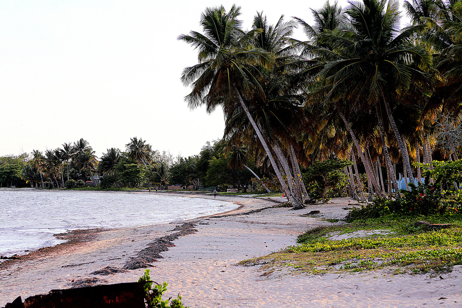 Playa Larga, Kuba