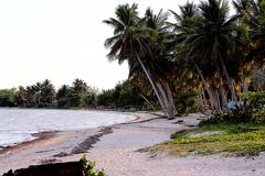 Playa Larga, Kuba