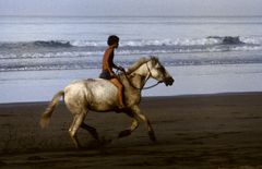 Playa Matapalo