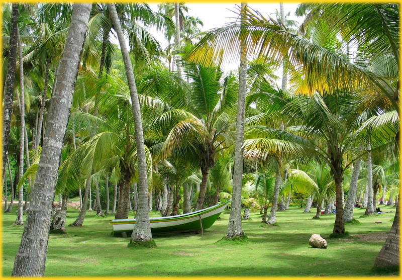 Playa Medina - Carúpano - Venezuela