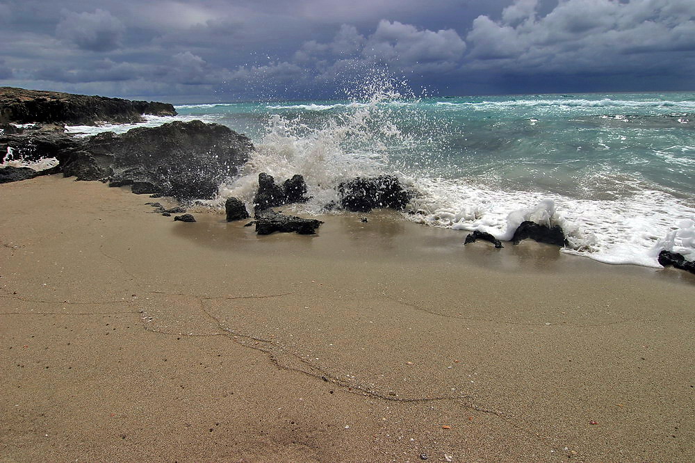 Playa Mitjorn 9/2009