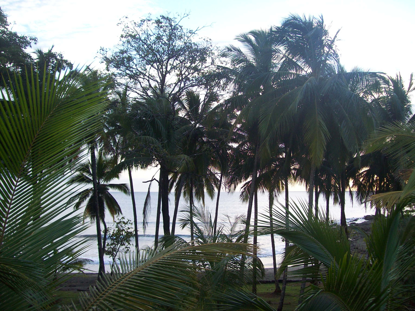 Playa Palo Seco