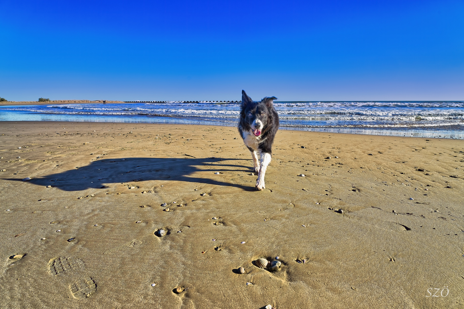 Playa para Cleo