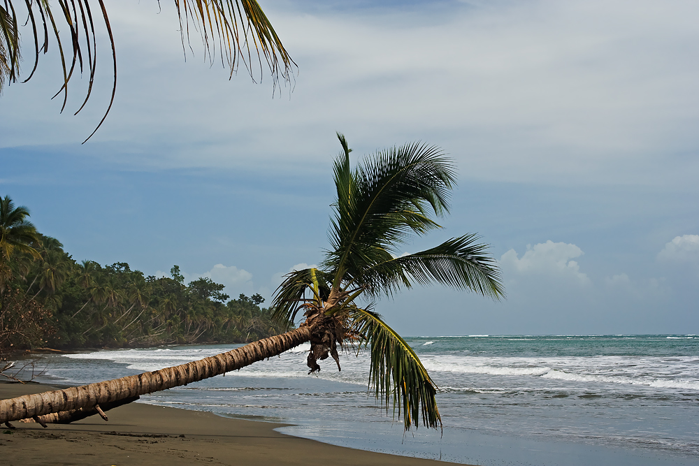 Playa Punta - Costa Rica von Der Pixellator