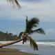 Playa Punta - Costa Rica