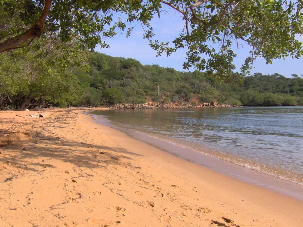 Playa Quetepe - Venezuela